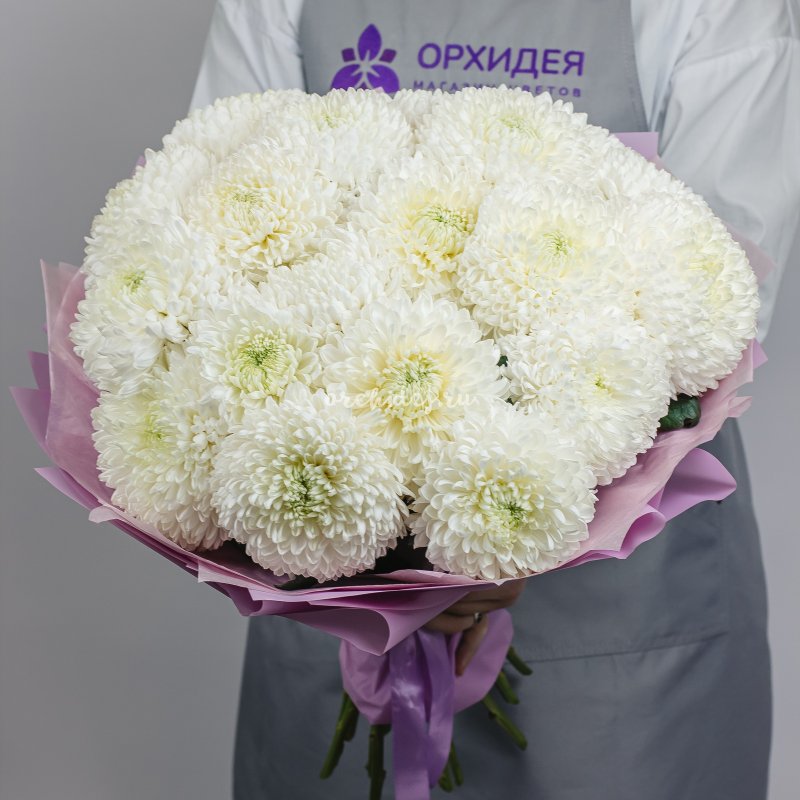 19 белых хризантем "Магнум"