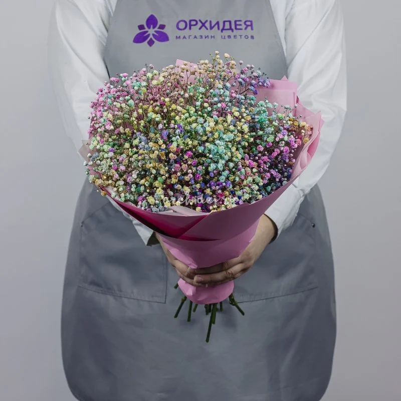 7 гипсофил радужных