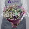 7 гипсофил радужных
