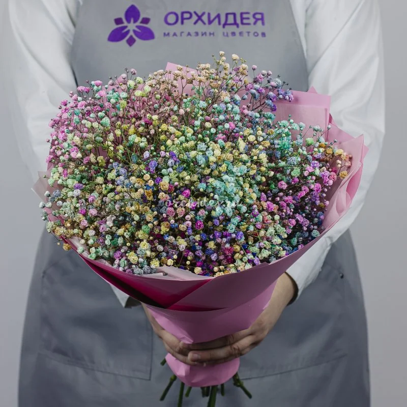 7 гипсофил радужных