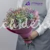 7 гипсофил радужных