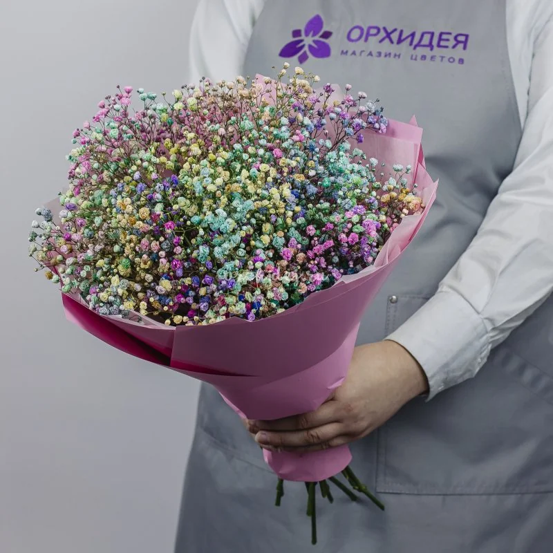 7 гипсофил радужных